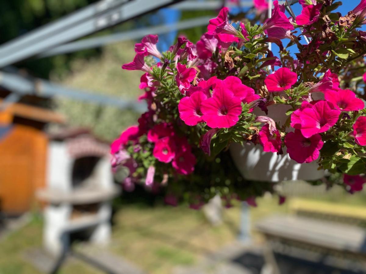 Ferienwohnung Am Franziskanergarten Bad Tölz Exteriér fotografie